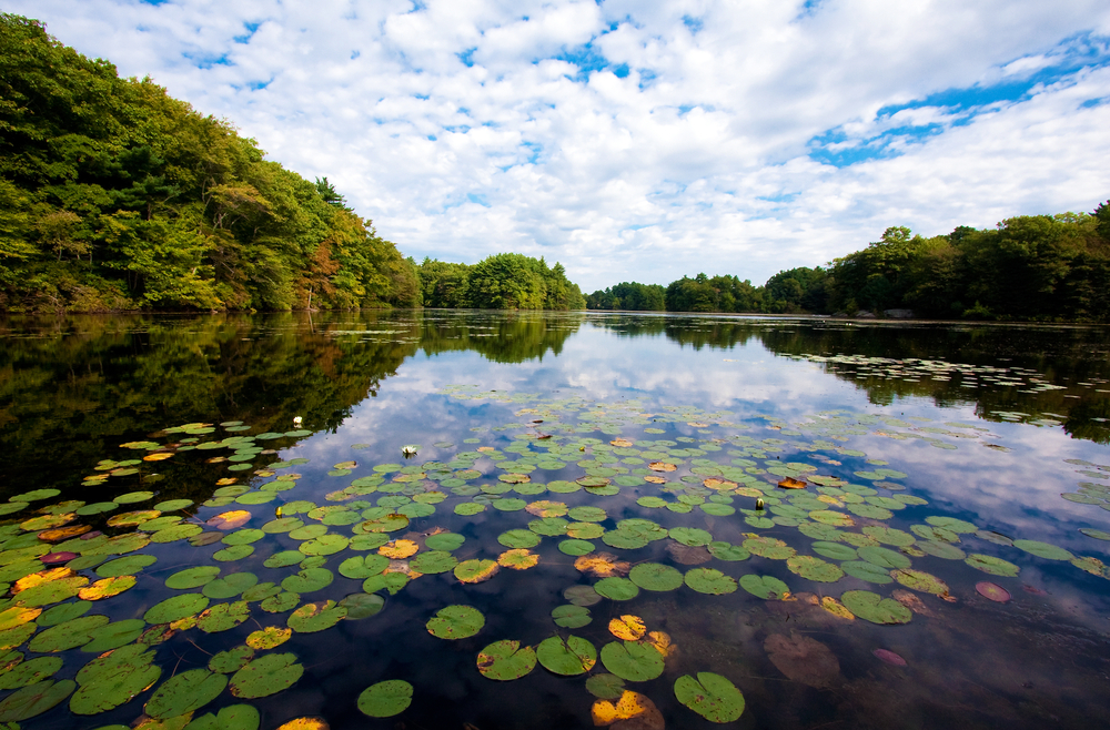 Easton, MA Pond